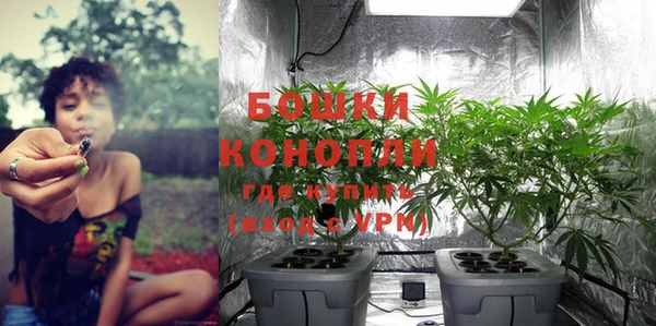 стаф Сафоново