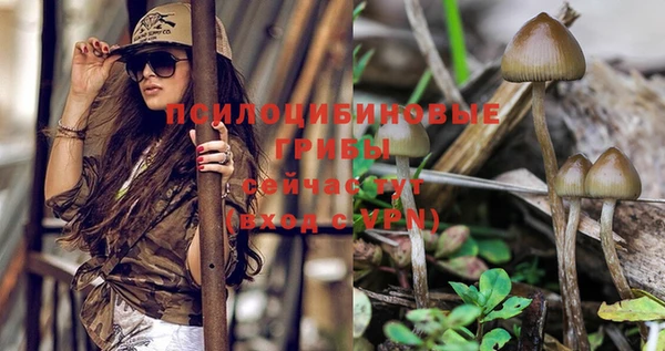 стаф Сафоново